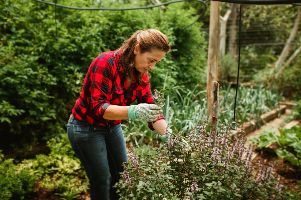 Woman tending to plants in a lush garden, enjoying leisure time outdoors.