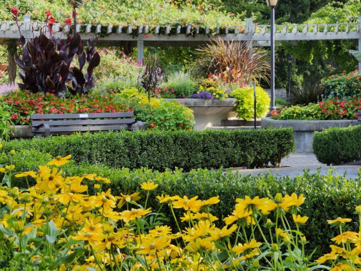 Lush garden with colorful flowers in a Toronto park, captured in summer.